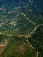 King of the Nine Pro