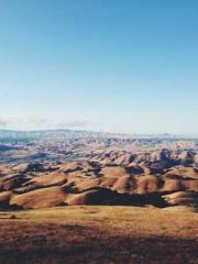 The Realm of the Dao