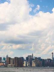 The Rough Man Hunter