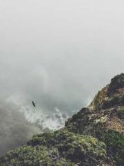 lt;lt;Know Green, Do