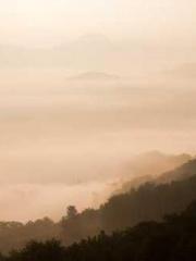 Transmigrated to the