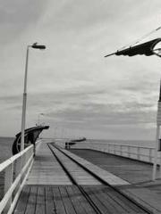 The young masterapos