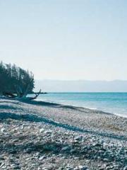 Lu Zongapos;s Hidden