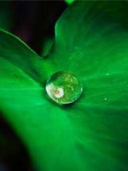 lt;lt;lt;lt;Yearning