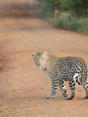 Fast Travel: The Big