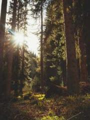 High School Campus S