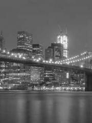 King of the Nine Pro