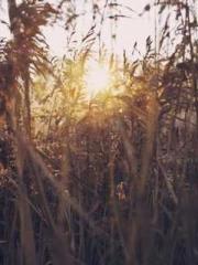 My stunning aunt lt;