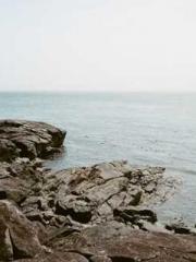 Super husband Lin Xi