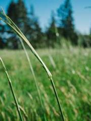 Becoming a Farm Girl